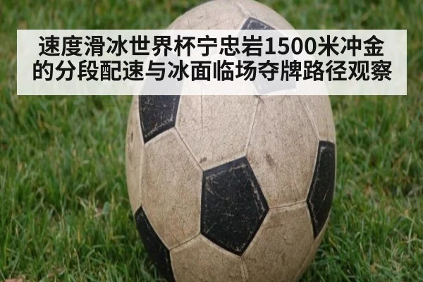 速度滑冰世界杯宁忠岩1500米冲金的分段配速与冰面临场夺牌路径观察